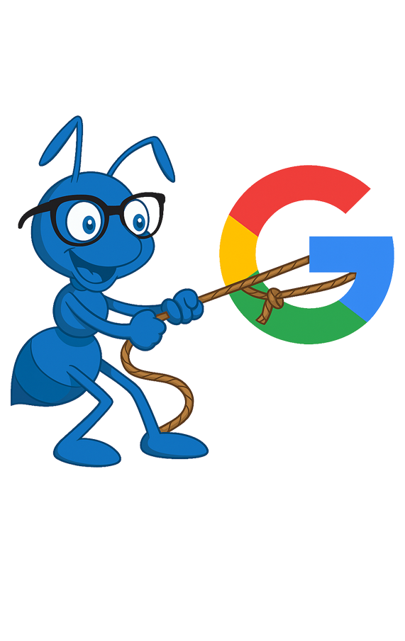 Zarpra-GoogleMigrations