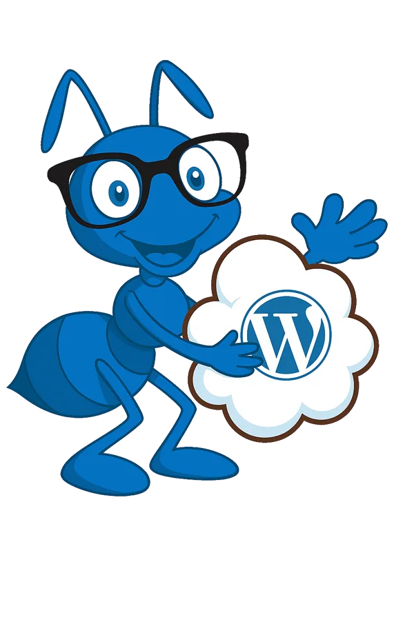 Zarpra-Wordpress-Services